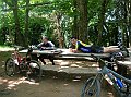 brekka 13-06-10 029